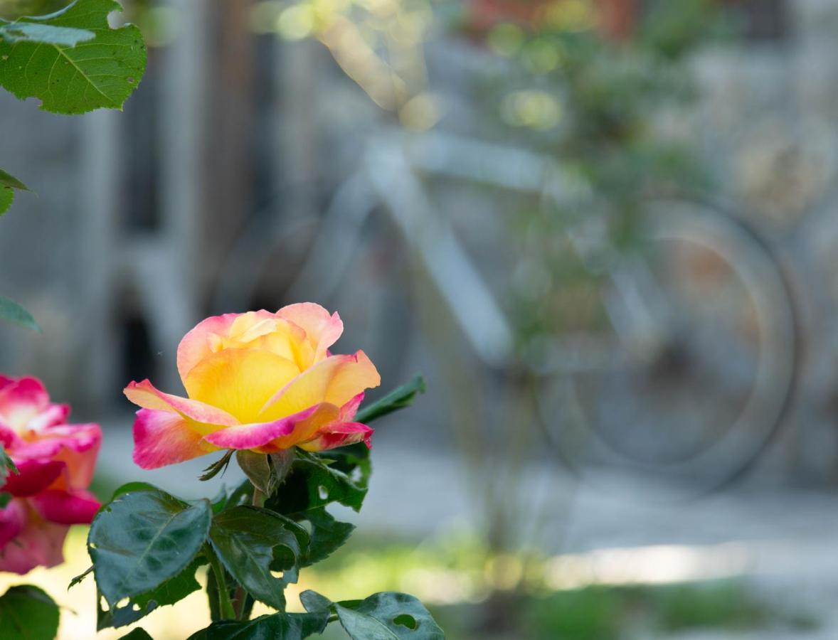 Plamenatz Studio Apartments Virpazar Buitenkant foto